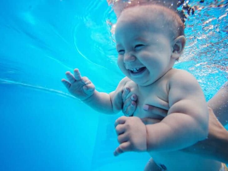 Teddybeerzwemmen met baby en peuters