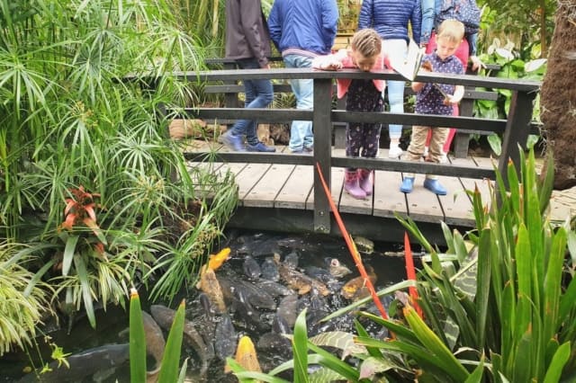 Orchideeënhoeve Flevoland; overdekte tuinen, dierentuin, restaurant en speeltuin - Reisliefde