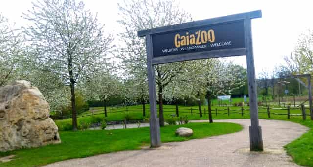 Dagje uit: Gaia Zoo Kerkrade - mamaliefde.nl