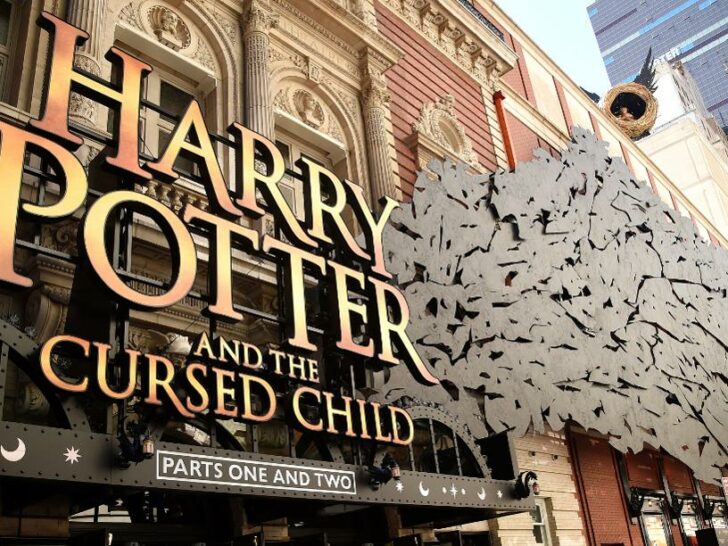 Harry Potter and the Cursed Child boek review
