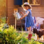 Tips voor het zomerklaar maken van je tuin Kindvriendelijke planten voor niet giftige beplanting buiten in de achtertuin (ook kleine tuin) - Mamaliefde.nl