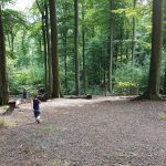 Vlaamse Ardennen met kinderen; Tips wat te doen van bezienswaardigheden tot kindvriendelijk restaurant en speeltuin - Mamaliefde.nl