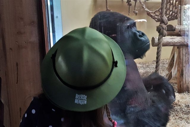 Dagje uit: Safaripark Beekse Bergen - Mamaliefde