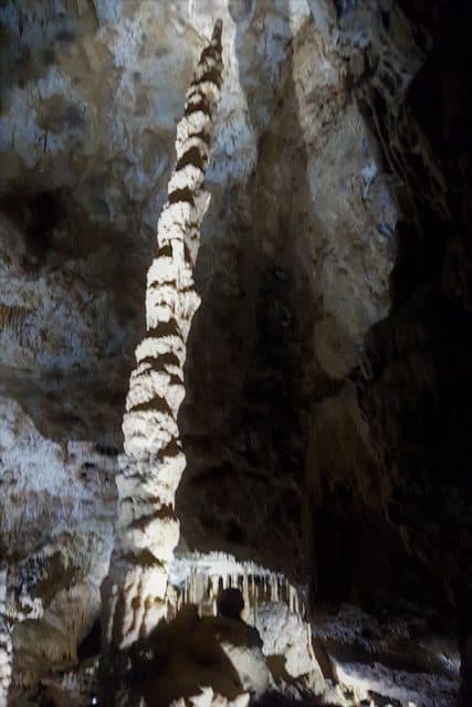 Grotten van Han Ardennen met wildpark en trein - Reisliefde