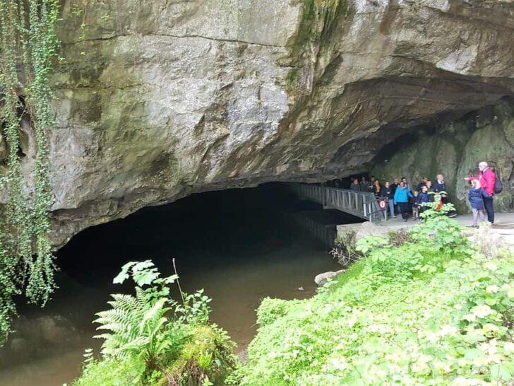 Grotten van Han review met kinderen; grotten & wildpark dierentuin