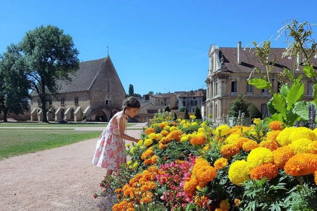 Bourgogne met kinderen; Bezienswaardigheden & Activiteiten - Reisliefde