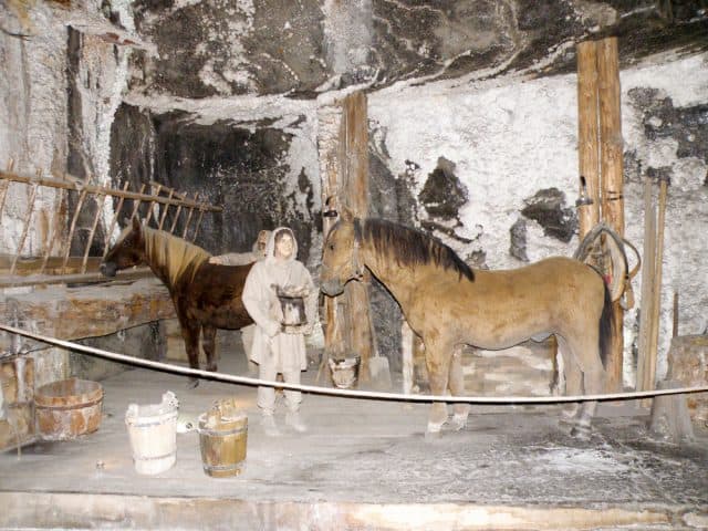 Wieliczka en Bochnia zoutmijnen bezoeken vlakbij Krakau in Polen - Reisliefde