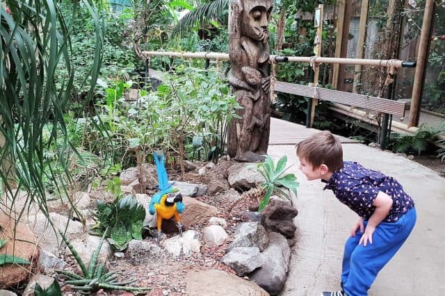Berkenhof's Tropical Zoo; Overdekte dierentuin, vlindertuin en speeltuin - Reisliefde