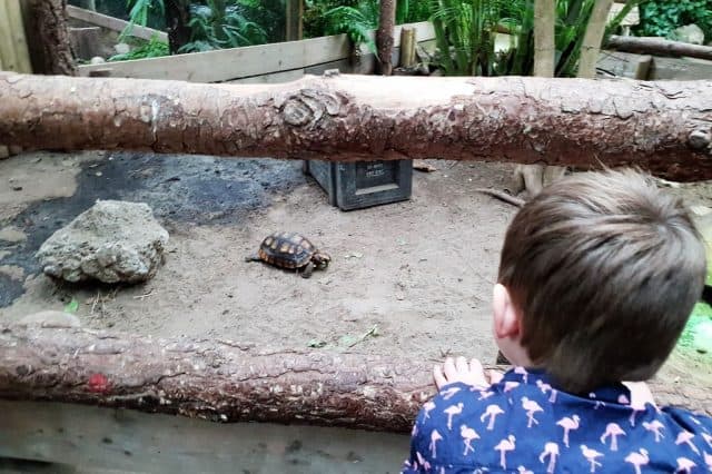 Berkenhof's Tropical Zoo; Overdekte dierentuin, vlindertuin en speeltuin - Reisliefde