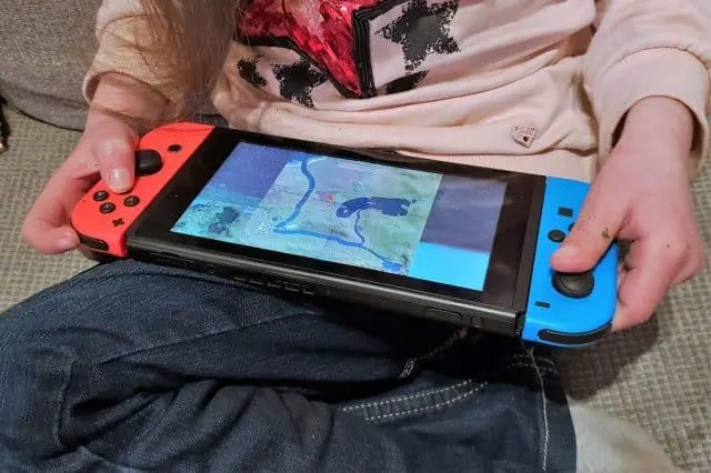 My Little Riding Champion Nintendo Switch review - Mamaliefde
