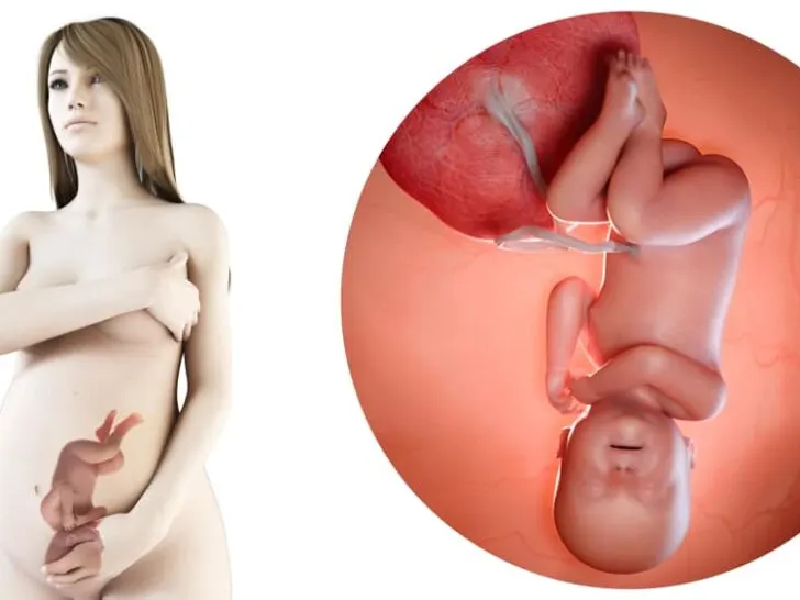 40 weken zwanger; zwangerschapskalender - Mamaliefde.nl