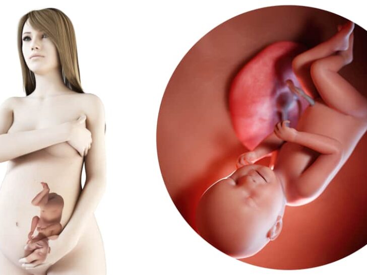 Zwangerschapskalender; 38 weken zwanger