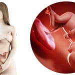 zwangerschapskalender; 37 weken zwanger - Mamaliefde.nl