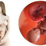 zwangerschapskalender; 39 weken zwanger - Mamaliefde.nl