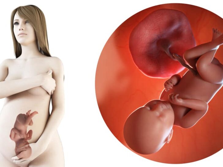 Zwangerschapskalender; 39 weken zwanger