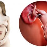 zwangerschapskalender; 36 weken zwanger - Mamaliefde.nl