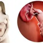 zwangerschapskalender; 36 weken zwanger - Mamaliefde.nl