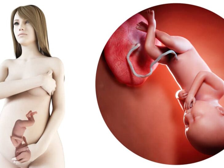 Zwangerschapskalender; 36 weken zwanger