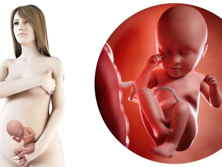 Zwangerschapskalender; 35 weken zwanger