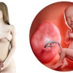 zwangerschapskalender; 33 weken zwanger - Mamaliefde.nl