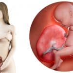 zwangerschapskalender; 32 weken zwanger - Mamaliefde.nl