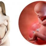zwangerschapskalender; 30 weken zwanger - Mamaliefde.nl