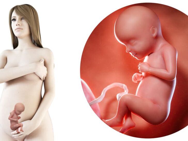 Zwangerschapskalender; 29 weken zwanger
