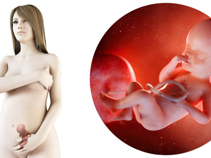 Zwangerschapskalender; 25 weken zwanger