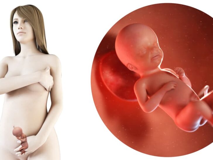 Zwangerschapskalender; 23 weken zwanger