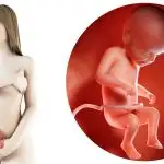 zwangerschapskalender; 22 weken zwanger - Mamaliefde.nl