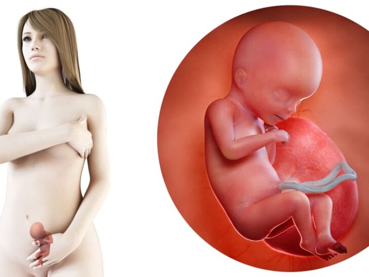 Zwangerschapskalender; 18 weken zwanger