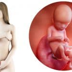 zwangerschapskalender; 16 weken zwanger - Mamaliefde.nl