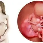 Zwangerschapskalender; 17 weken zwanger