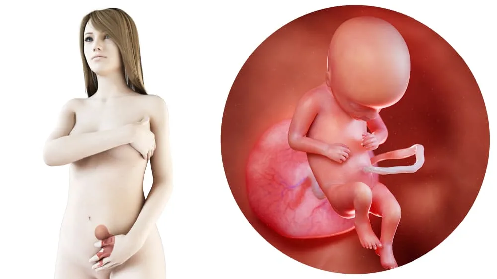 zwangerschapskalender; 18 weken zwanger - Mamaliefde.nl