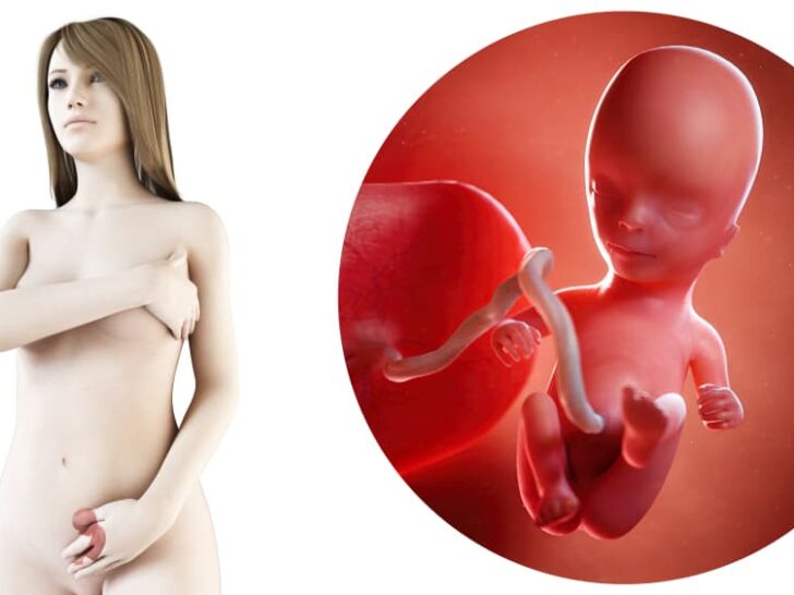 zwangerschapskalender; 14 weken zwanger - Mamaliefde.nl