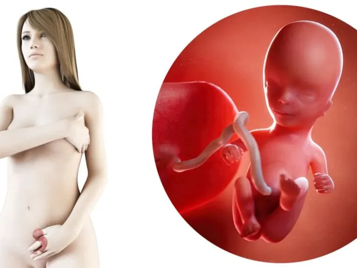zwangerschapskalender; 14 weken zwanger - Mamaliefde.nl
