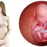 13 weken zwanger - Mamaliefde.nl