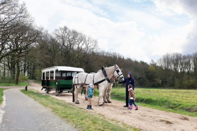 Pony vakantie; vakantiepark met paard bij het huisje of op de boerderij - Mamaliefde
