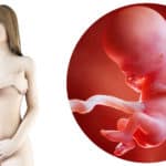 Zwangerschapskalender; 11 weken zwanger - Mamaliefde