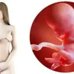 zwangerschapskalender; 11 weken zwanger - Mamaliefde.nl