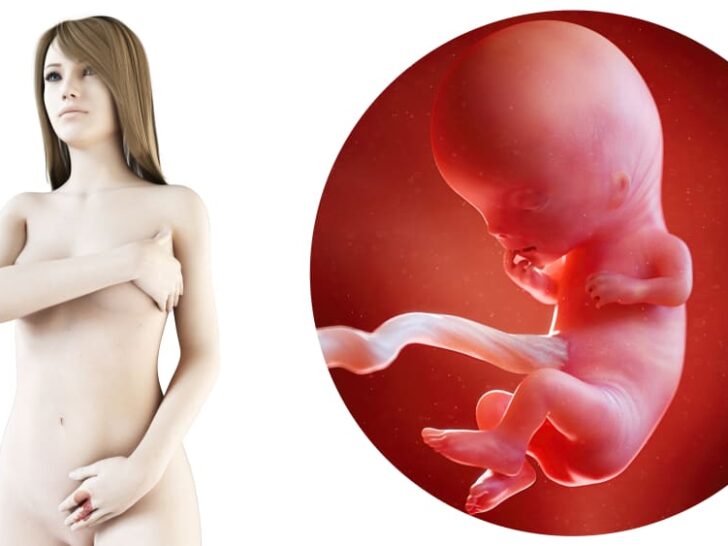 zwangerschapskalender; 11 weken zwanger - Mamaliefde.nl