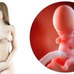 9 weken zwanger; zwangerschapskalender - Mamaliefde.nl