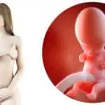 9 weken zwanger; zwangerschapskalender - Mamaliefde.nl