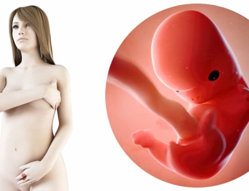 Zwangerschapskalender; 8 weken zwanger