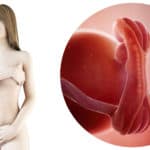 5 weken zwanger; zwangerschapskalender - Mamaliefde.nl