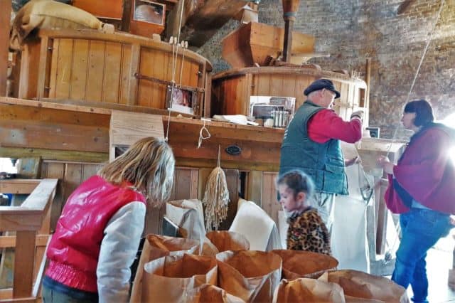 Molenmaatjes; met kinderen een bezoek brengen aan de molen en molenkoekjes bakken - Reisliefde