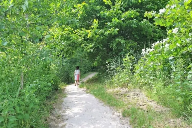 Belevenissenbos Lelystad review met kinderen; strand & wandeling - Mamaliefde