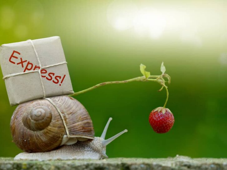 Snail mail ideeën en spulletjes; post versturen voor en door kinderen