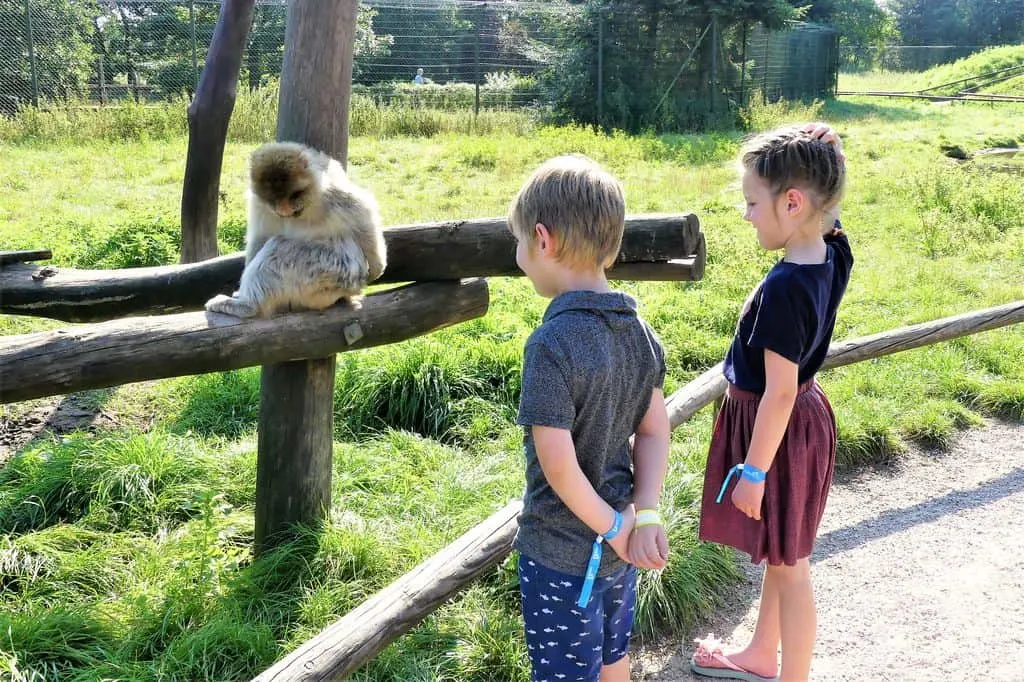 Safaripark Givskud Zoo; review dierentuin Billund Denemarken met kinderen - Mamaliefde.nl