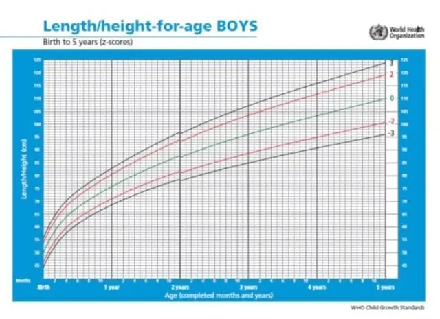 Gemiddeld gewicht baby; van geboorte tot 1 jaar (incl. lengte) - Mamaliefde